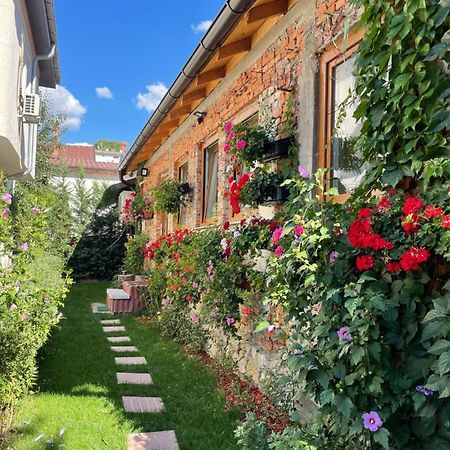 Flower House In The City Center! Prishtinë Luaran gambar