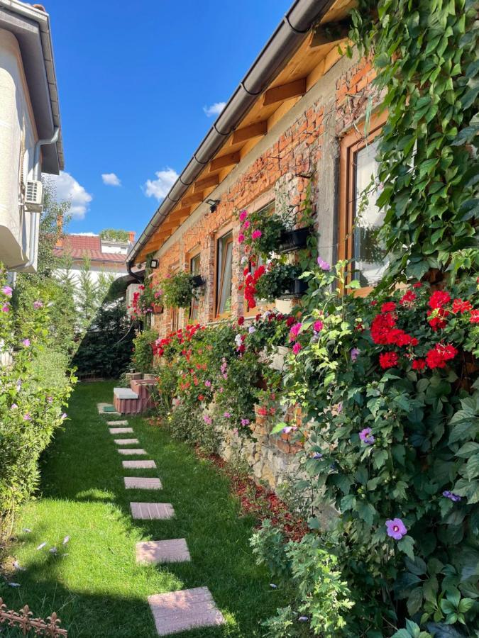 Flower House In The City Center! Prishtinë Luaran gambar