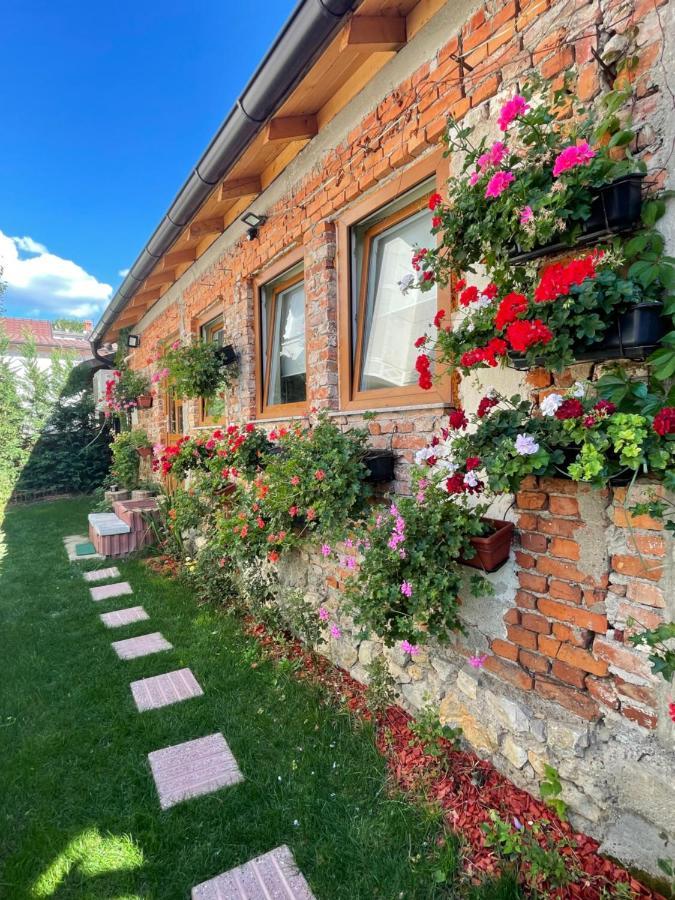 Flower House In The City Center! Prishtinë Luaran gambar