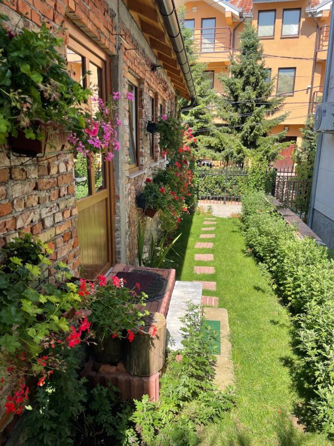 Flower House In The City Center! Prishtinë Luaran gambar