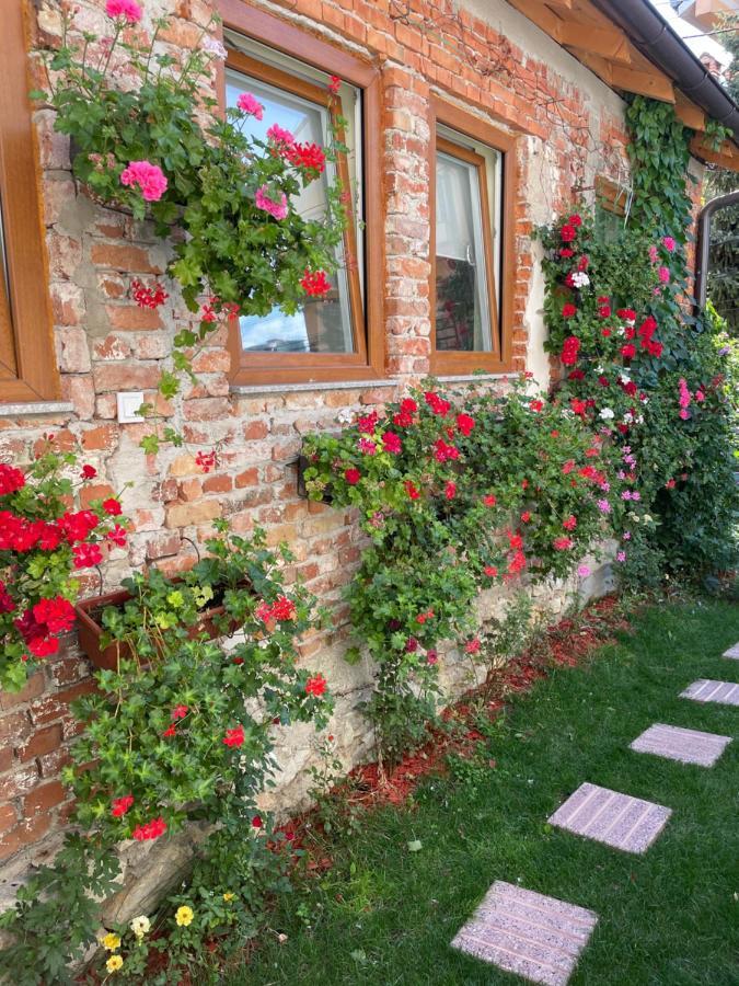 Flower House In The City Center! Prishtinë Luaran gambar